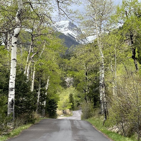 Rocky Mountain National Park photography on canvas - Picture 1 of 1